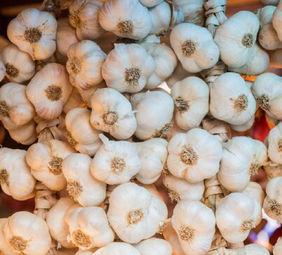 Dehydrated Garlic